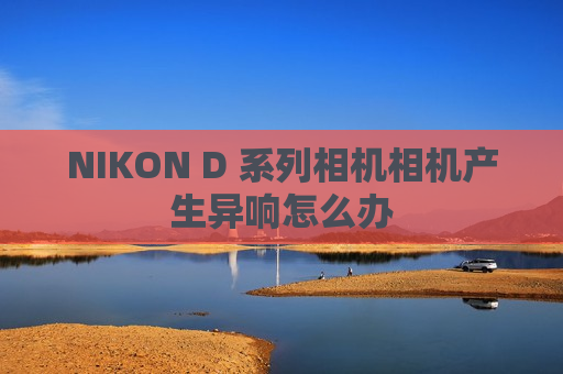 NIKON D 系列相机相机产生异响怎么办