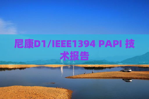 尼康D1/IEEE1394 PAPI 技术报告